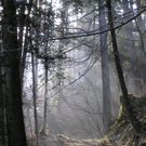P4170556.JPG