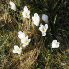 P4170561.JPG