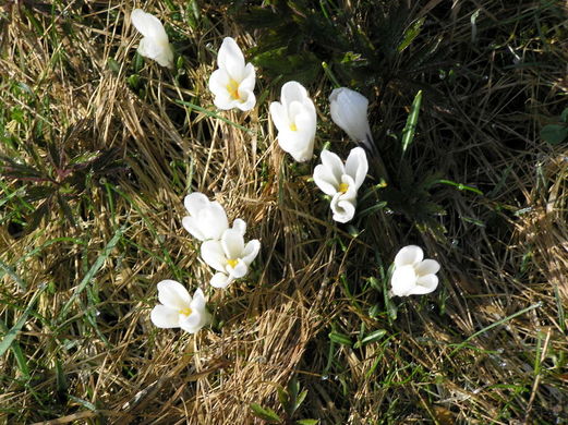 P4170561.JPG