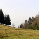 P4170564.JPG