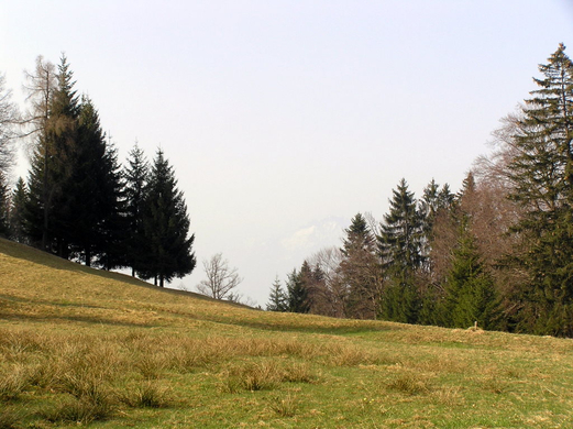 P4170564.JPG