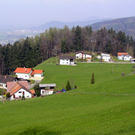 P4170592.JPG