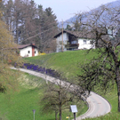 P4170597.JPG