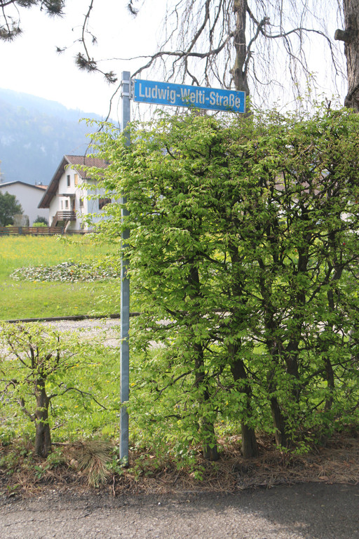 Ludwig-Welti-Stra__e1.JPG