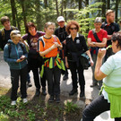 Kräuterwanderung 