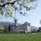 Fr__hling Hochstammkulturen _40_.jpg