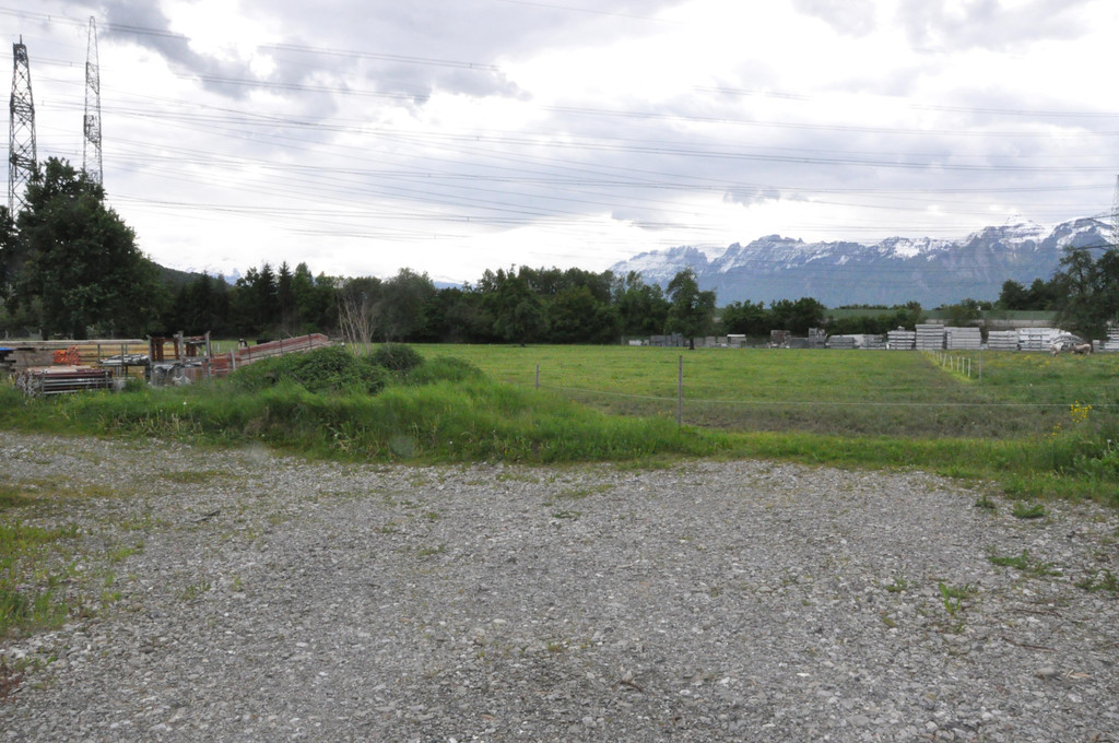 DSC_0015.JPG