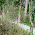 KOE-SB-Vaterunser-Weg 12_jpg-1271536280