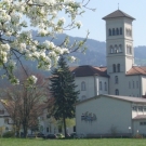 Fr__hling Hochstammkulturen _41_.jpg