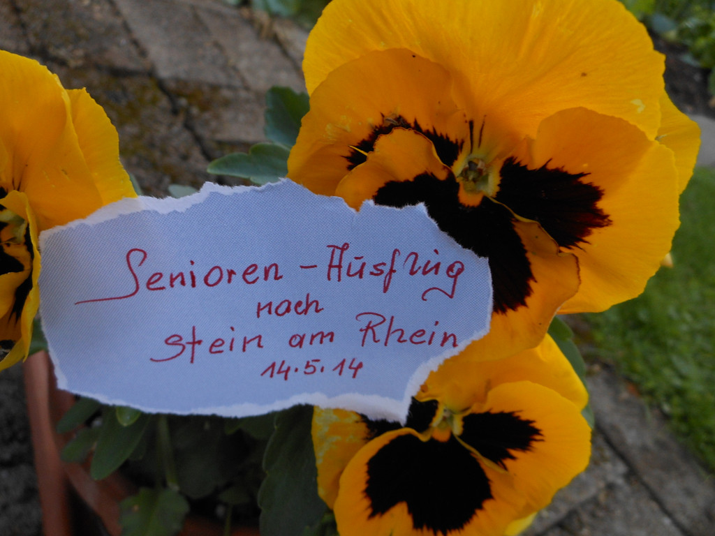 DSCN5097.JPG