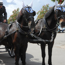 DSCN5086.JPG