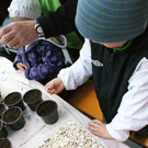 DSC07242.JPG