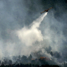 Waldbrand zerstörte Picasso-Landschaft