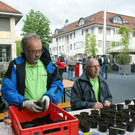 DSC07281.JPG