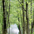ABD0021-20140520.jpg