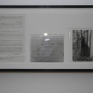 DSCN3106.JPG