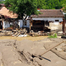 IBD0521-20140519.jpg