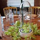 DSCF2351.JPG
