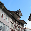 IMG_4949.JPG