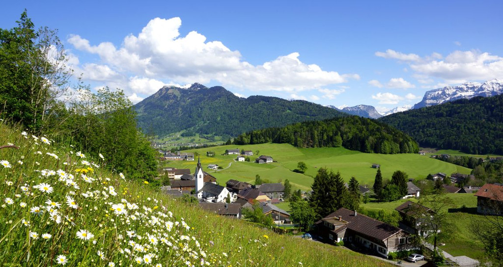DSC00.JPG