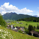 DSC00.JPG