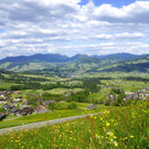 DSC03.JPG