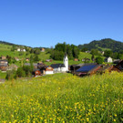DSC07.JPG
