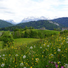 DSC08.JPG