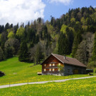 DSC055.JPG
