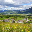 DSC0200.JPG