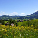 DSC0297.JPG