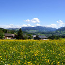 DSC0299.JPG