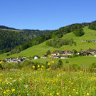 DSC0302.JPG