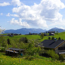 DSC0850.JPG