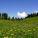 DSC06219.JPG