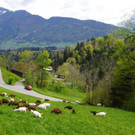 DSC08538.JPG