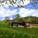 DSC08549.JPG