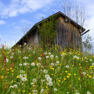 DSC08558.JPG