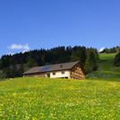 DSC08698.JPG