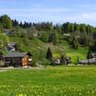 DSC08754.JPG