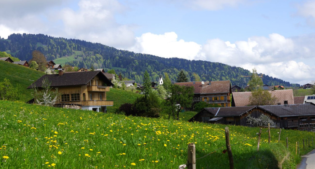 DSC08760.JPG