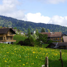 DSC08760.JPG