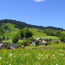 DSC08821.JPG