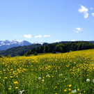 DSC08825.JPG