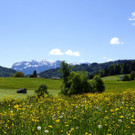 DSC08827.JPG