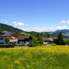 DSC08835.JPG