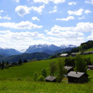 DSC08839.JPG