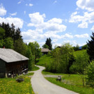 DSC08840.JPG