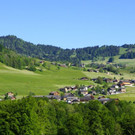 DSC08900.JPG