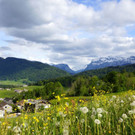 DSC08930.JPG